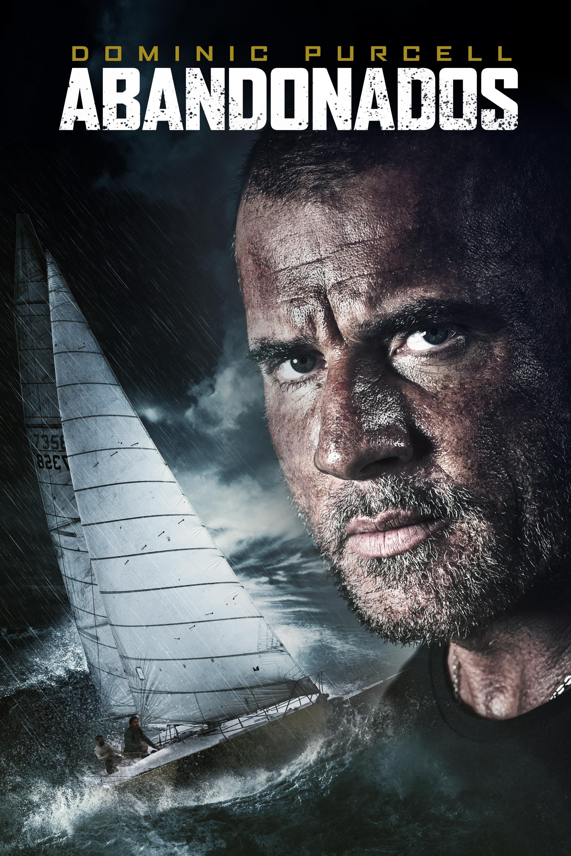 Poster de la película