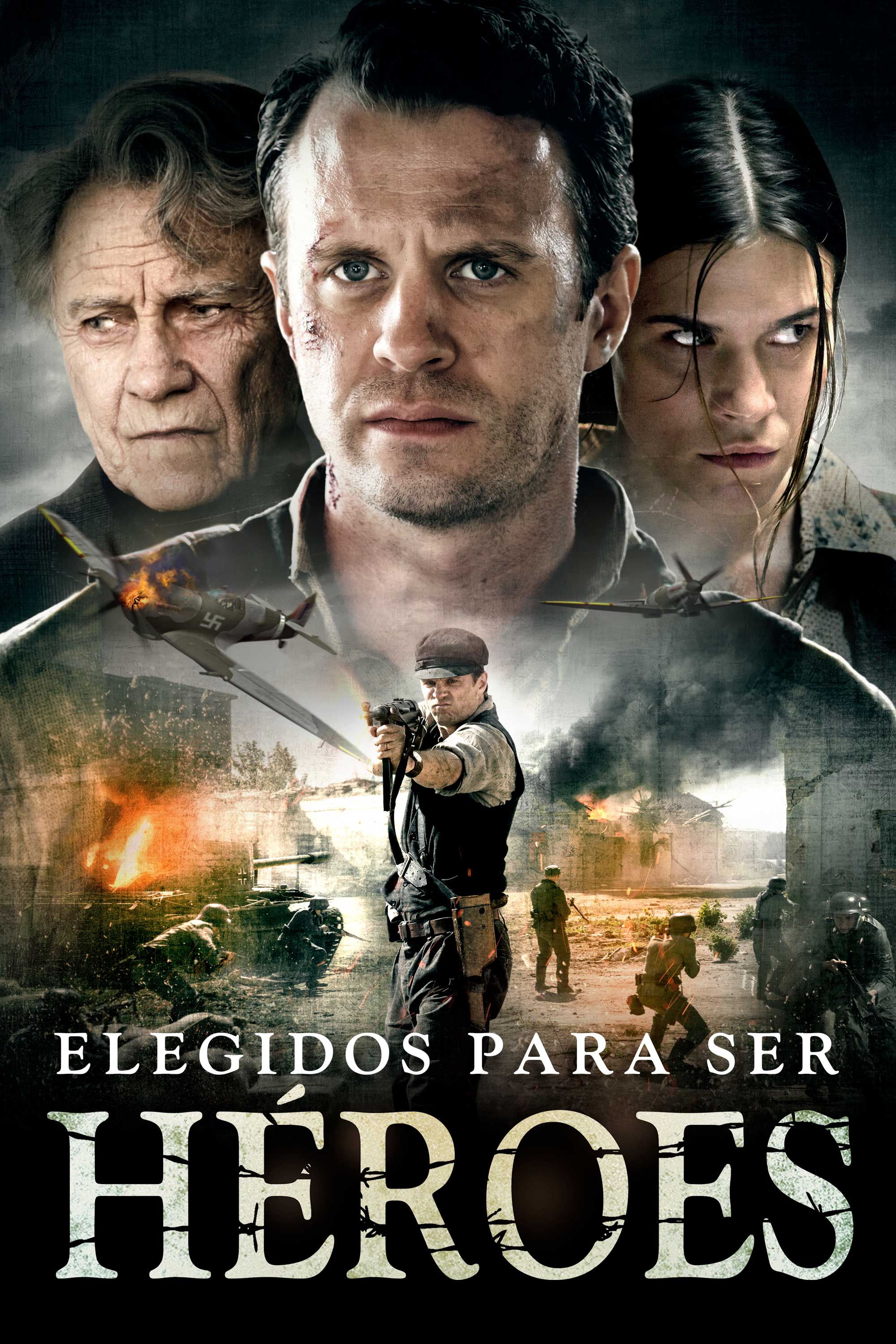 Poster de la película